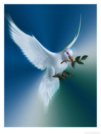 img-name-mising