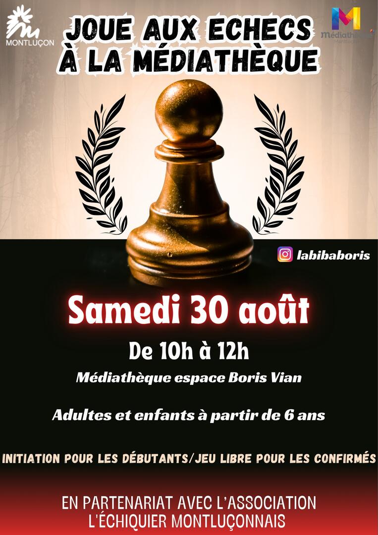 Séance d'échecs avec l'association échiquier montluçonnais_Montluçon