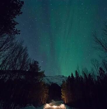 Journal d'une nuit polaire