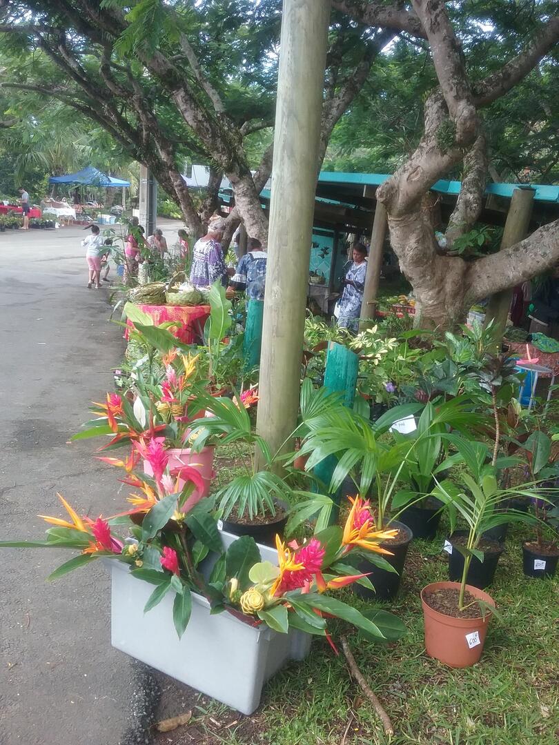 Place du marché de Farino