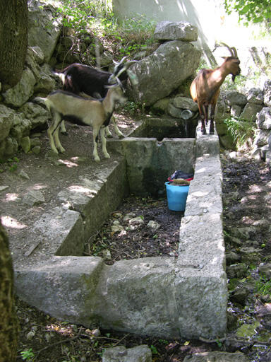 Lavoir rent
