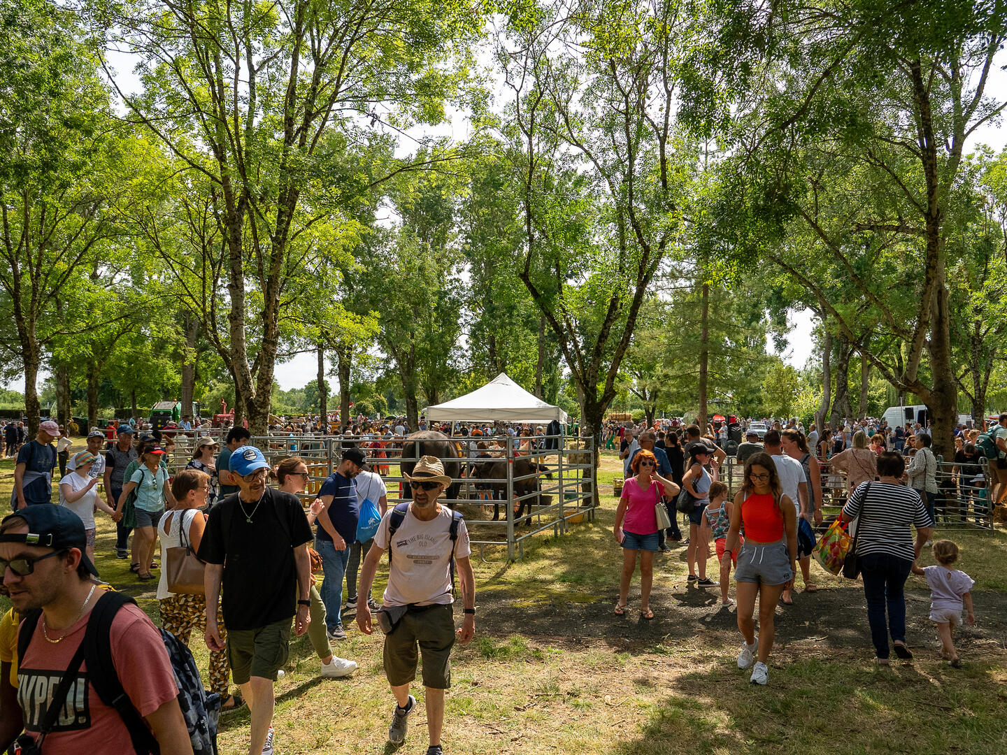 Fête de la ruralité_Tonnay-Charente