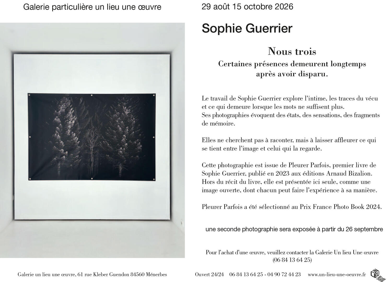 La galerie un lieu une œuvre expose - Sophie Guerrier_Ménerbes