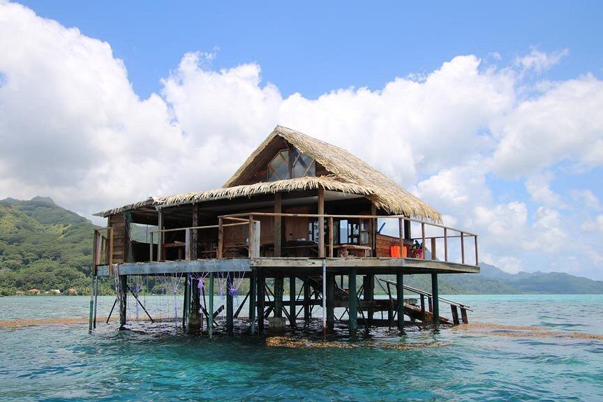 Anapa Perles - Tahiti Tourisme