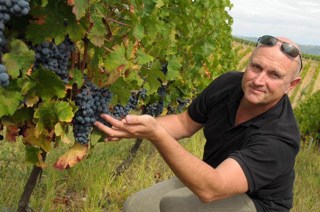 Circuit des Vignobles