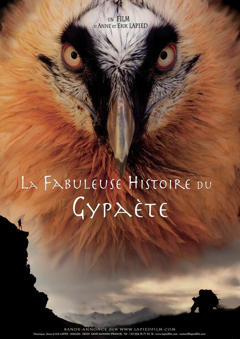 La fabuleuse histoire du gypaète