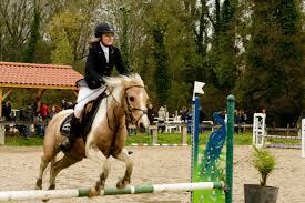 CSO & HUNTER - CLUB / PONEY