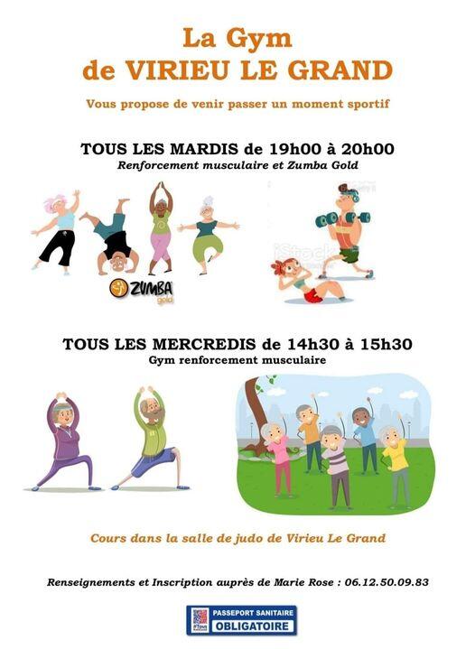 Cours de gym et de zumba gold à Virieu le Grand
