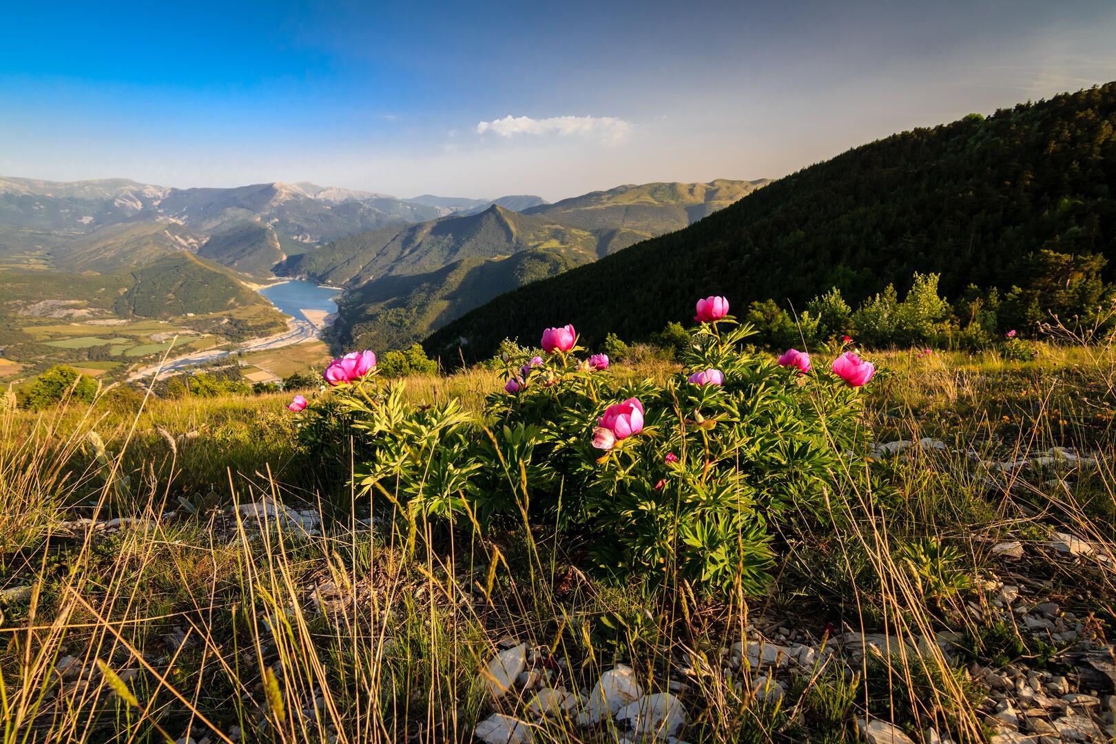 Sommet de Chalvet Saint André les Alpes