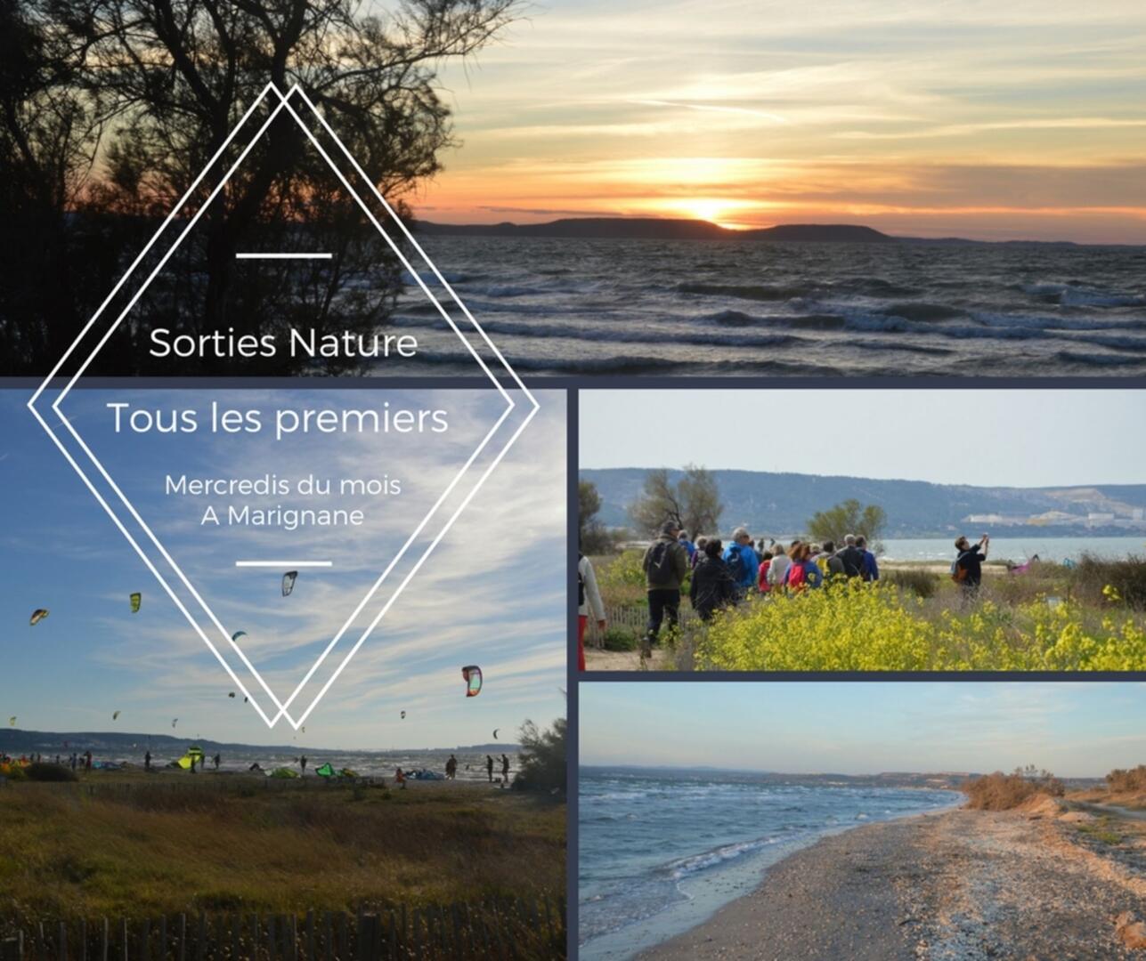 Paysages de Marignane : randonnées commentées