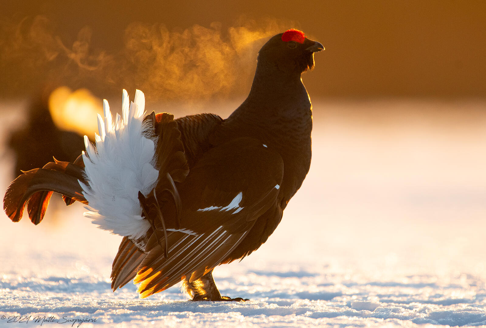 Une montagne à partager_Les Contamines-Montjoie
