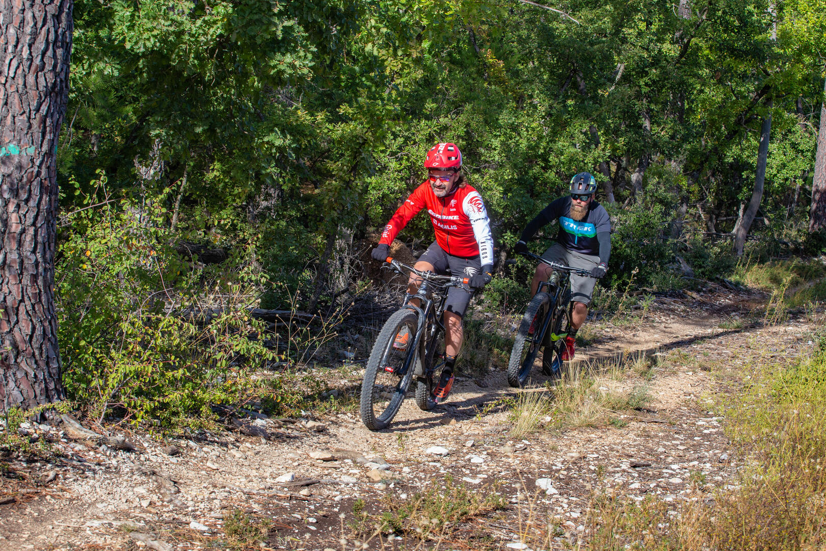 VTT n°00 - Montée du Ventoux Est_Bédoin