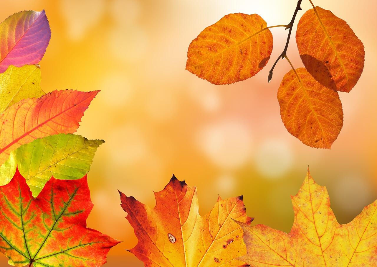Pour les 4-7 ans : Bricolage d'automne