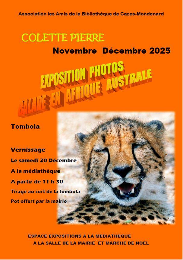 Exposition à la médiathèque_Cazes-Mondenard