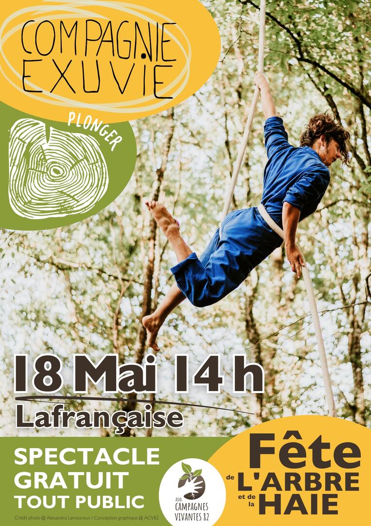 Spectacle Plonger