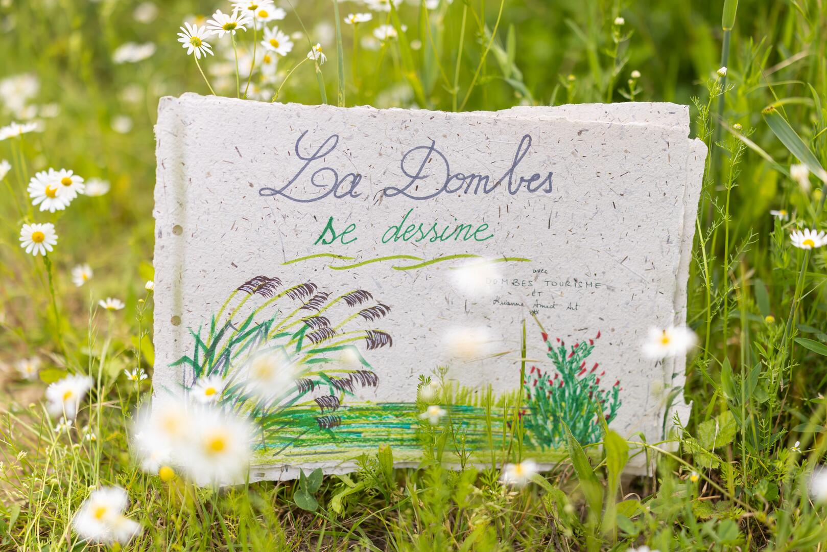 La Dombes se dessine à Prêle_Valeins