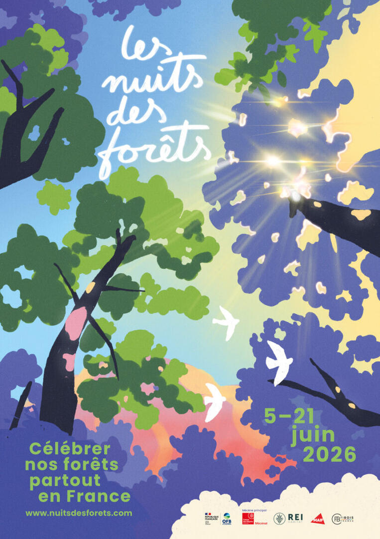 Les Nuits des Forêts à Molines-en-Champsaur