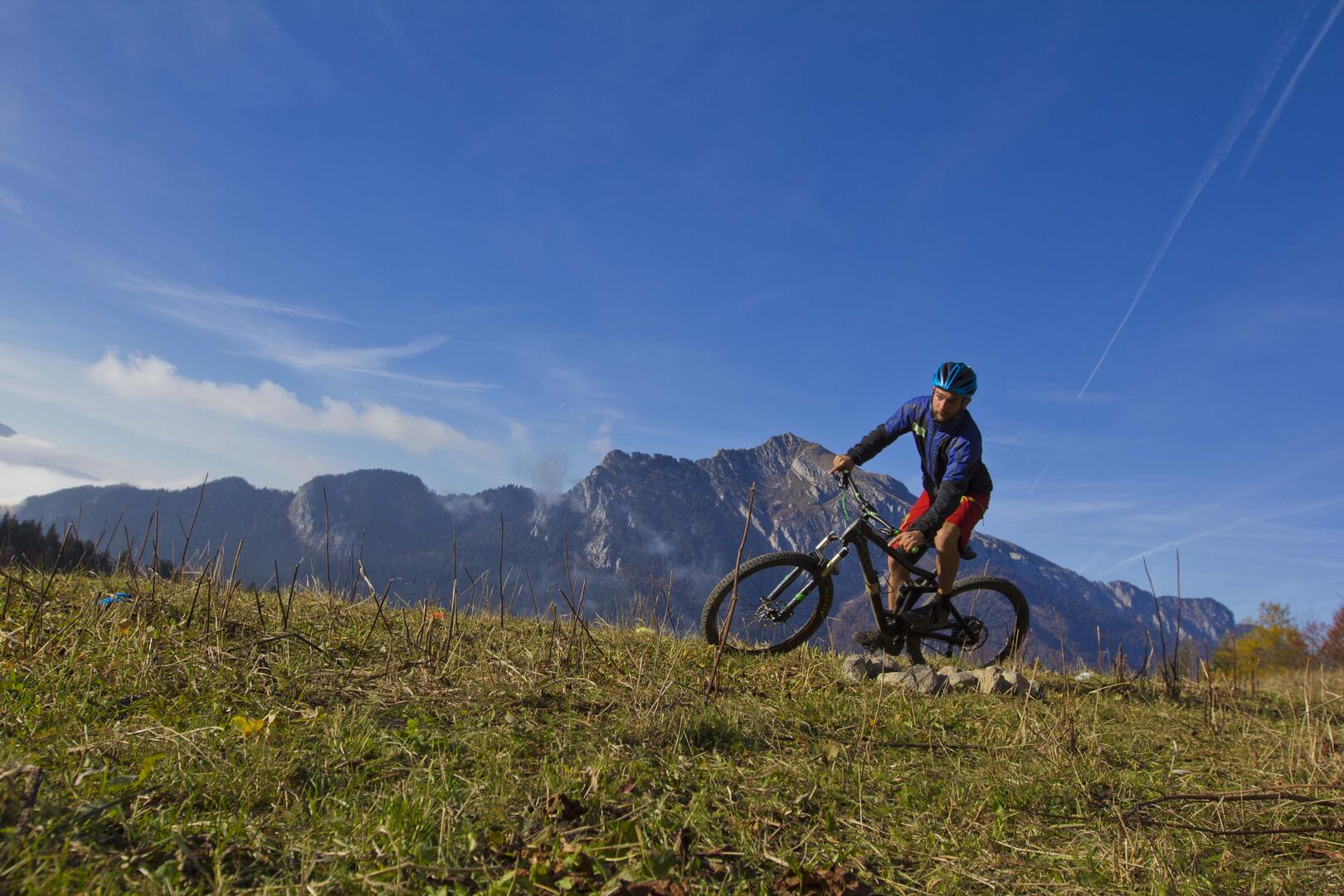 VTT