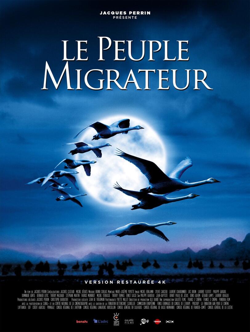 Cinétoiles 2026 - LE PEUPLE MIGRATEUR - La Flachère_La Flachère
