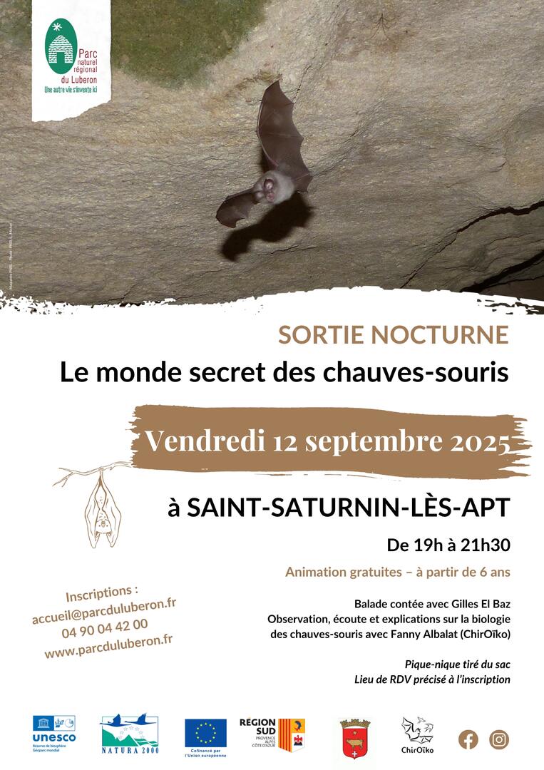 Sortie nocturne " Le monde secret des chauves-souris" Saint-Saturnin-lès Apt_Saint-Saturnin-lès-Apt