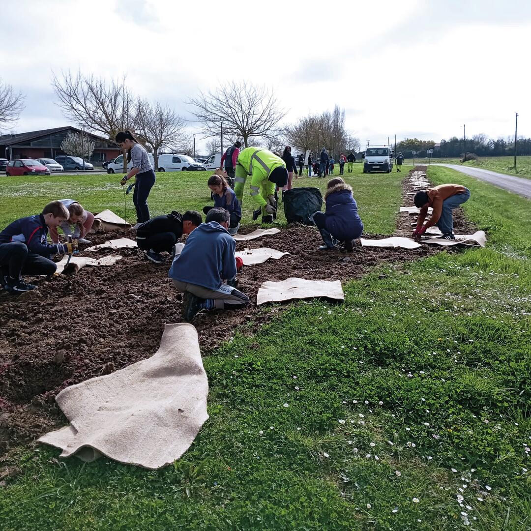 Balade autour des sites de plantation à Montech
