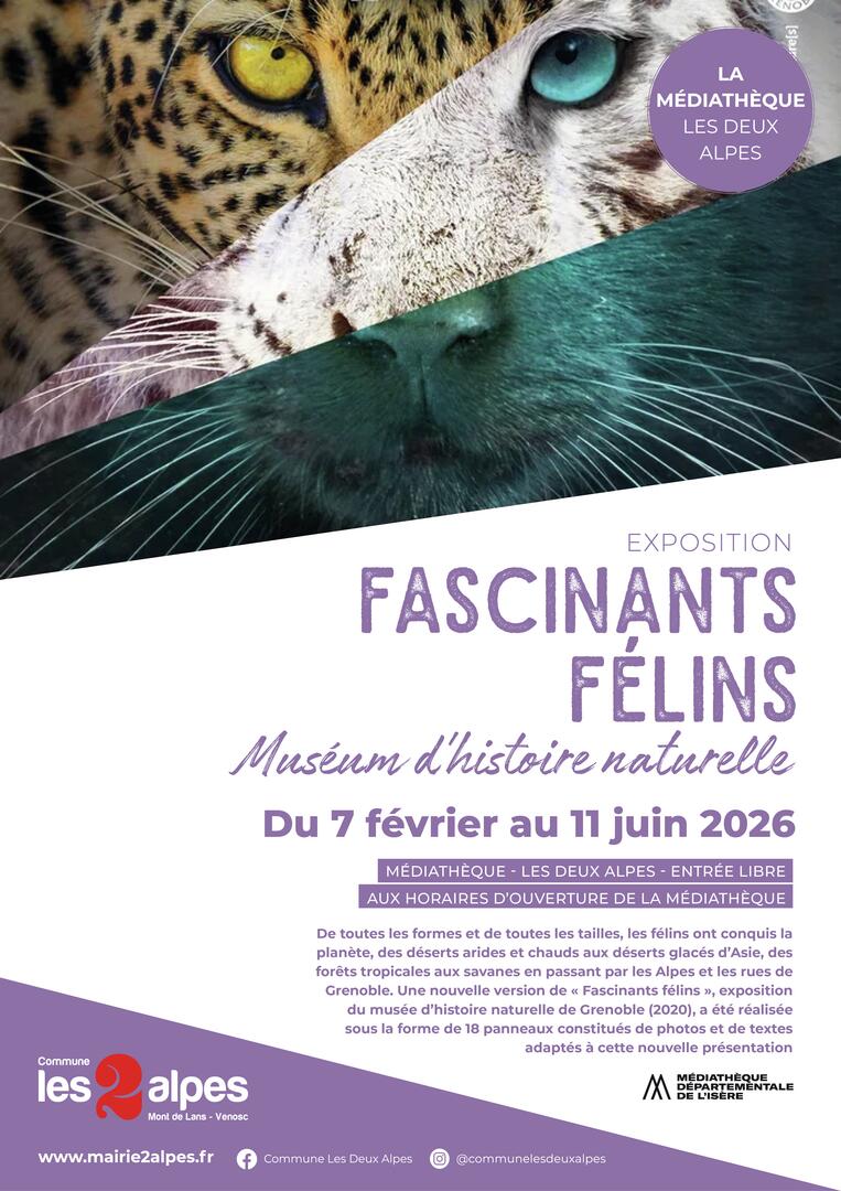 Exposition - Fascinants félins_Les Deux Alpes