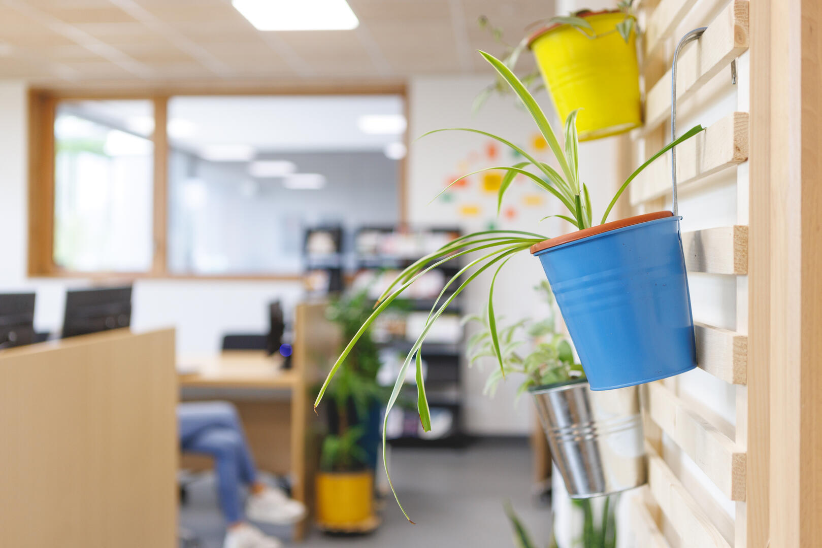 cowork MCC