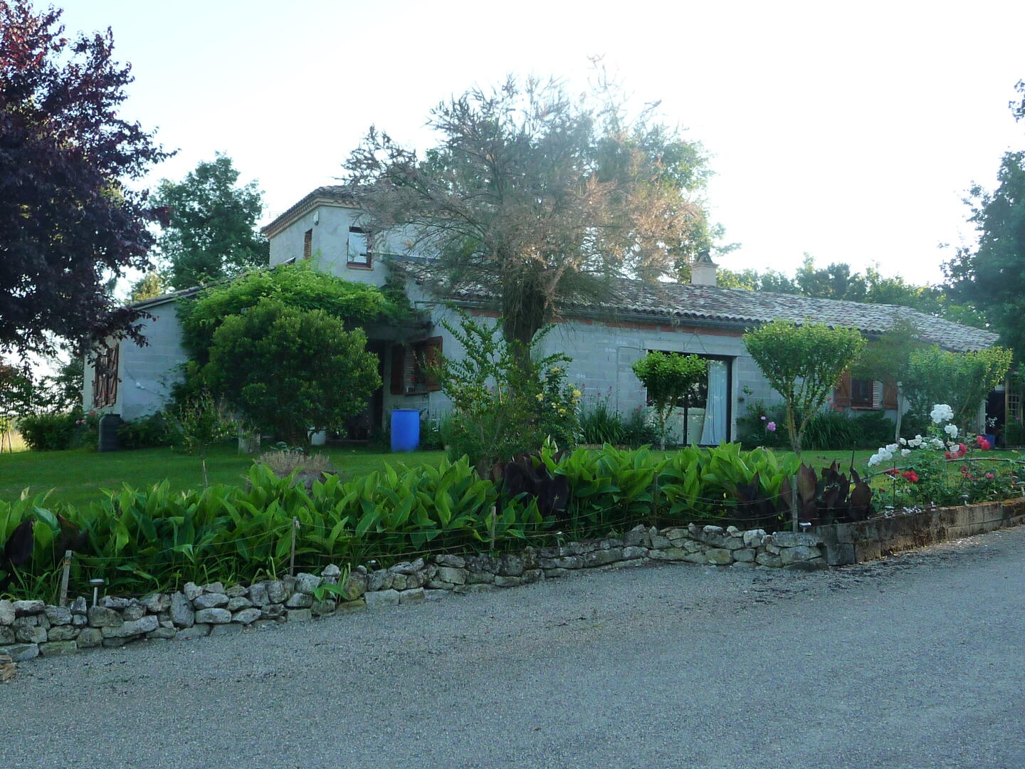 terrain arboré