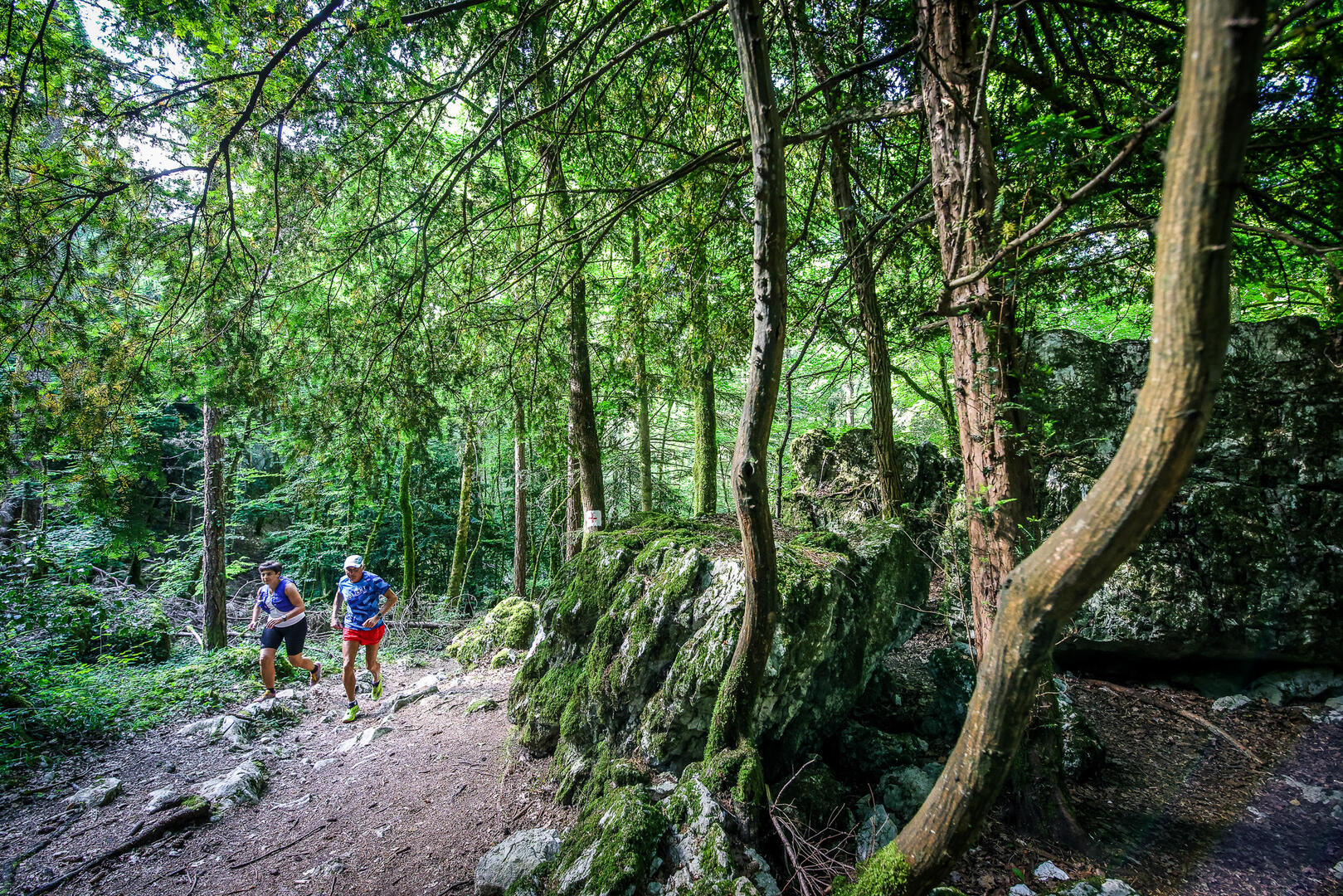 Trail au lac d'Aiguebelette