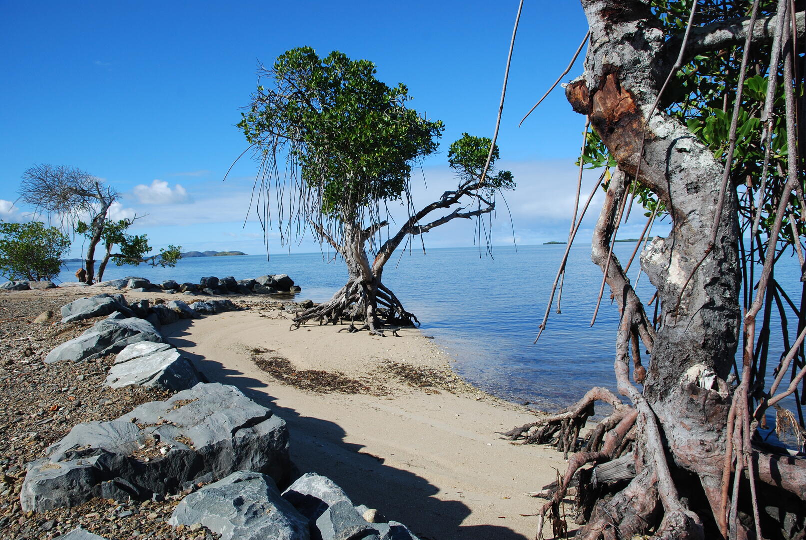Plage de Tanguy