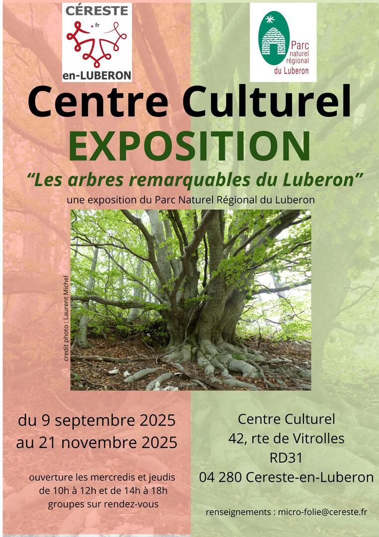Les arbres remarquables du Luberon_Céreste