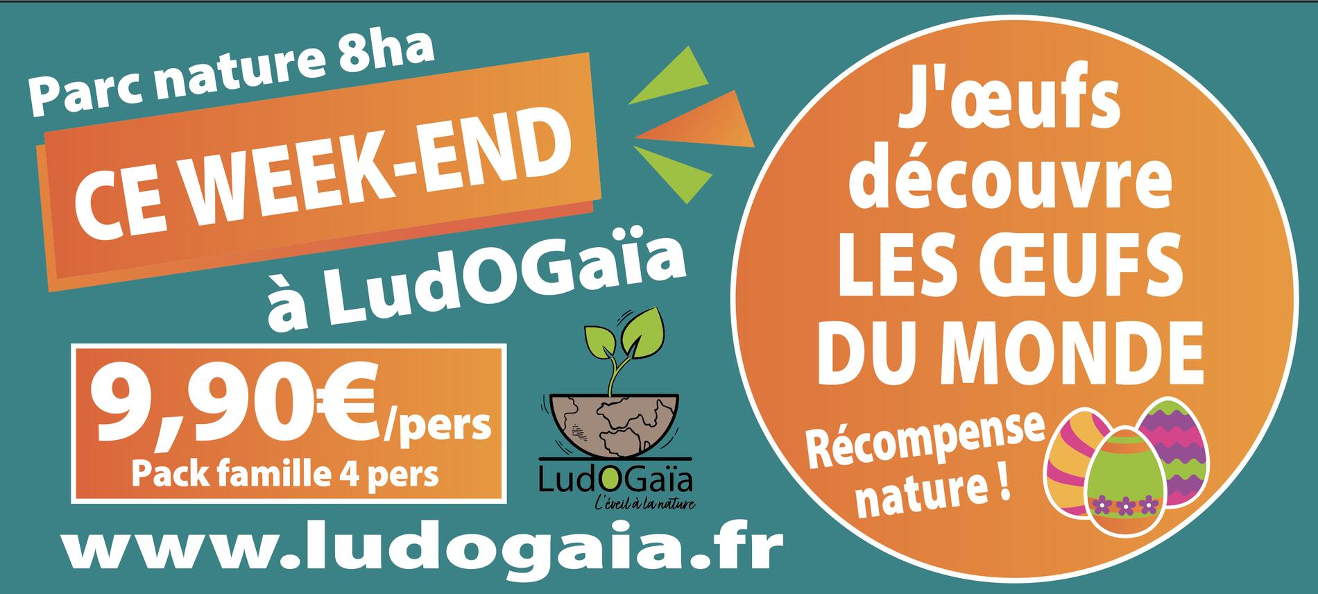 Chasse aux oeufs avec énigmes au parc LudOGaïa : "J'oeufs découvre les oeufs du monde"_Vézeronce-Curtin