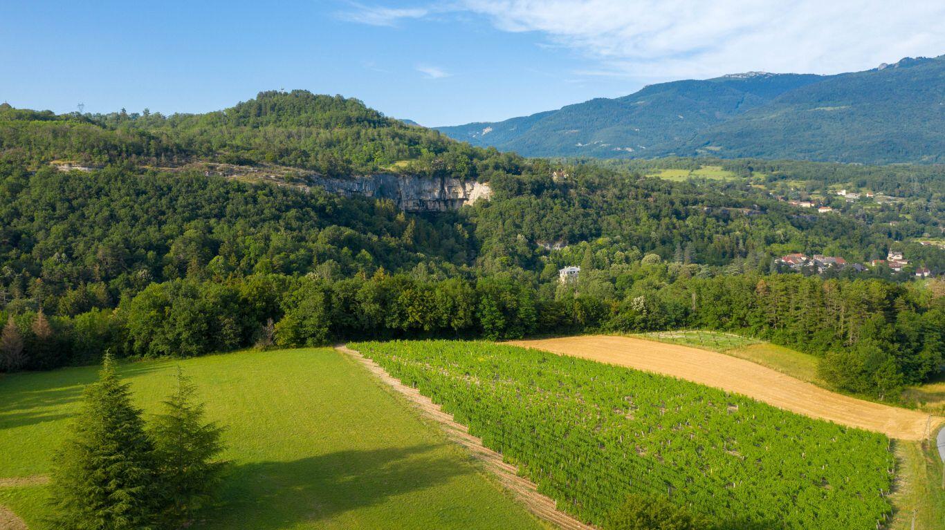 Les Pieds dans le Local® ! Visite d'exploitation