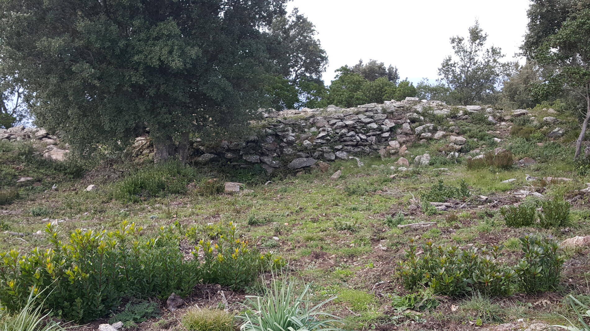 Oppidum du Montjean