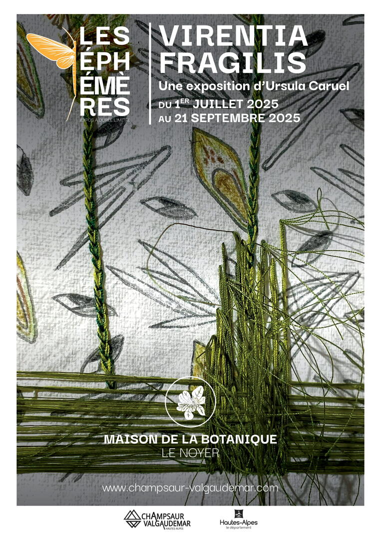 Vernissage de l'exposition : Virentia Fragilis_Le Noyer