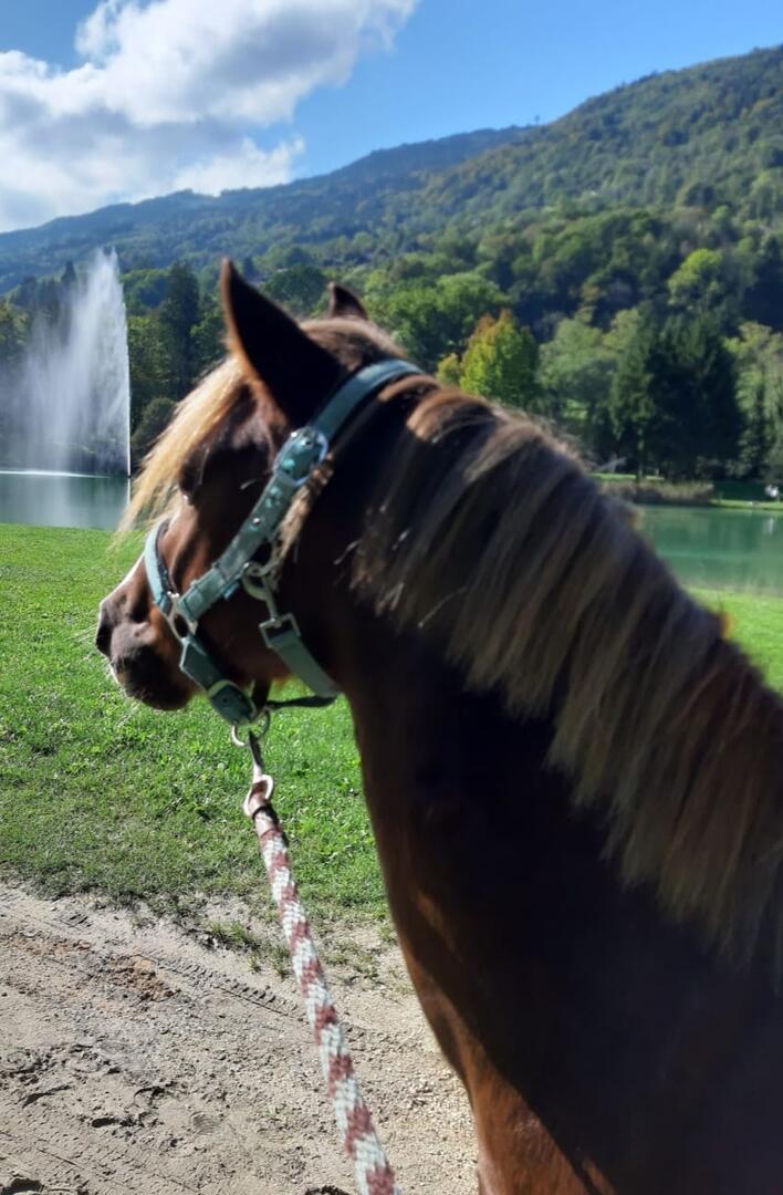 Balade à Poney autour du Lac de la Mirande_Allevard