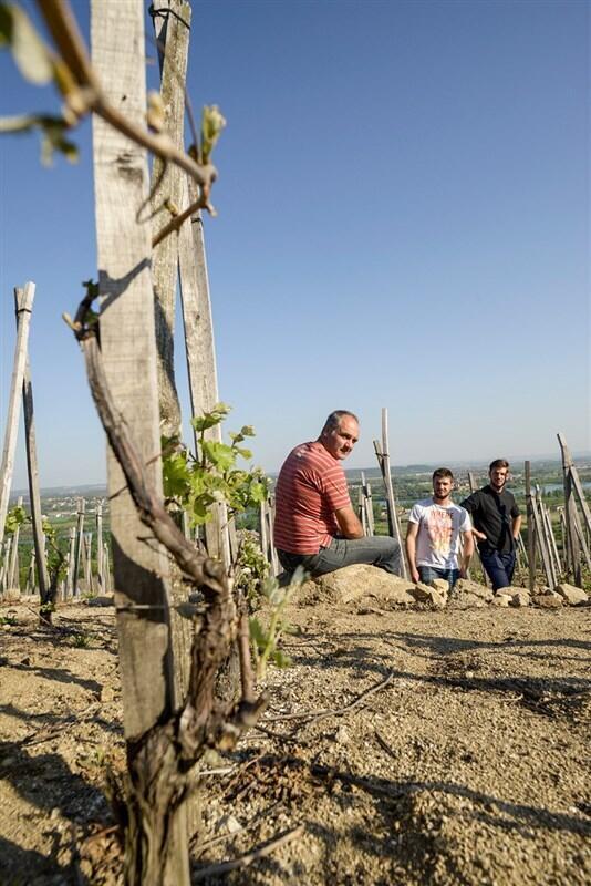 Portes ouvertes au Domaine Pichon_Chavanay