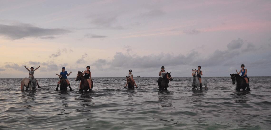 Cadichon Vallee - Tahiti Tourisme