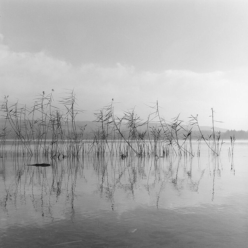 Exposition : APAX nouvelles images - Valérie Gaillard_Villard-Bonnot