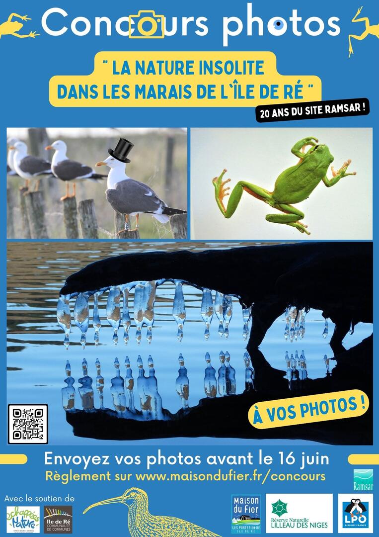 affiche concours photo 2023