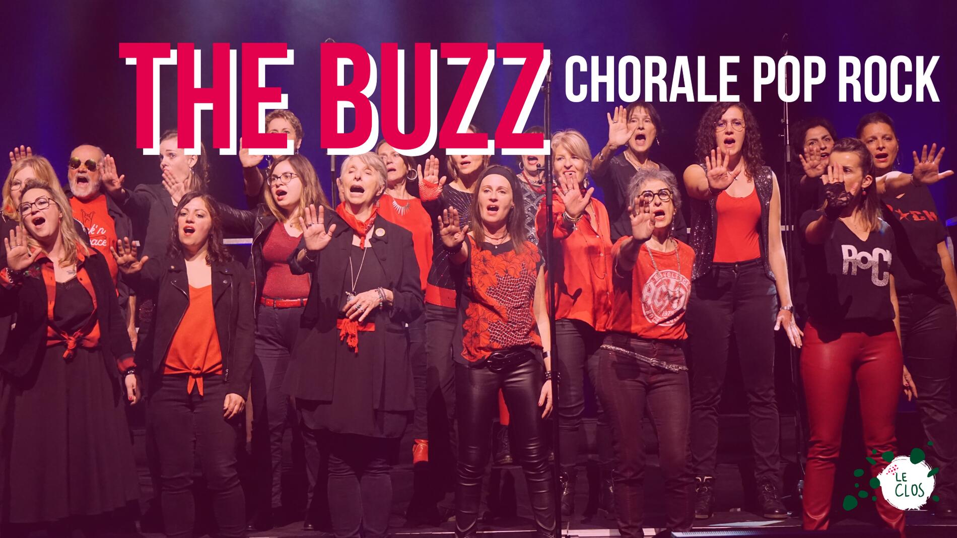 The Buzz, chorale pop rock_Rochefort