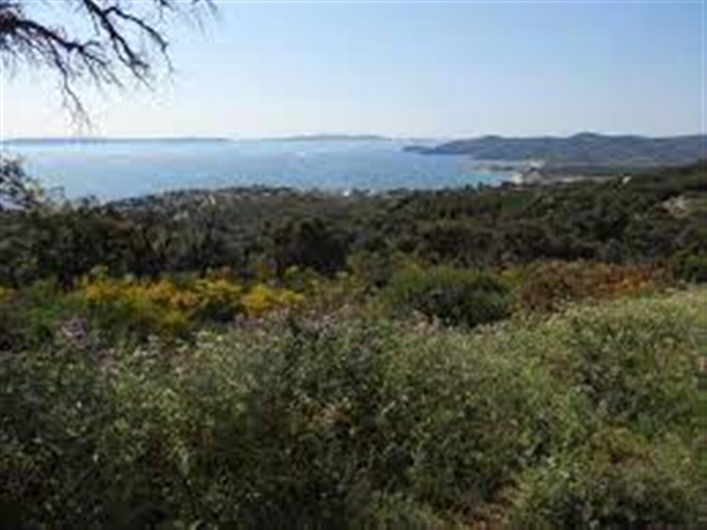 Le Lavandou