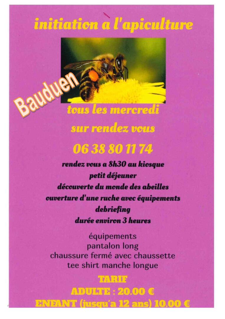 Initiation à l'apiculture