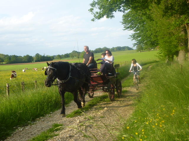 Promenades en calèche