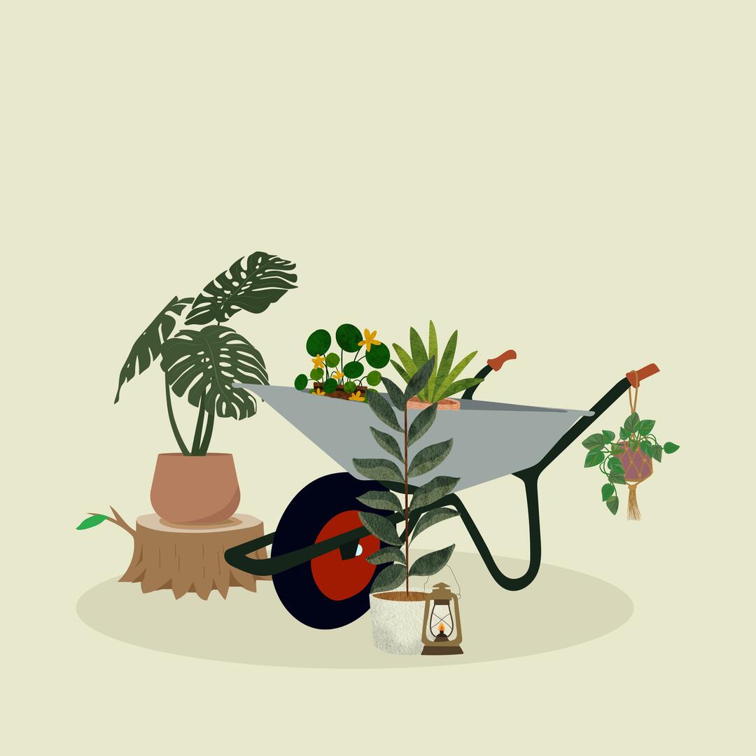 Fête de la Nature :Troc plantes_Rochefort