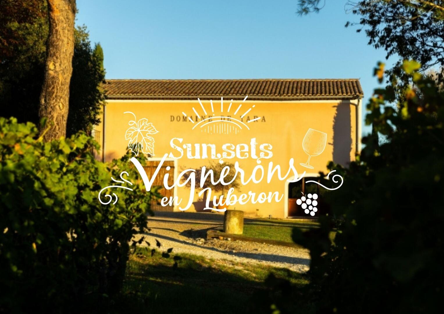 Sunsets Vignerons 2026 au Domaine Tara_Roussillon