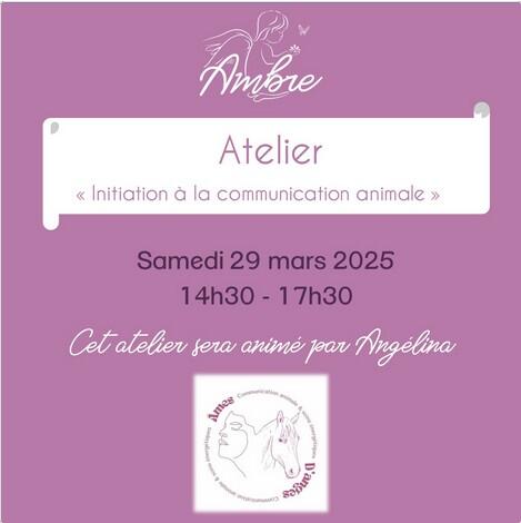 Atelier "Initiation à la communication animale"_Beaumont-de-Lomagne