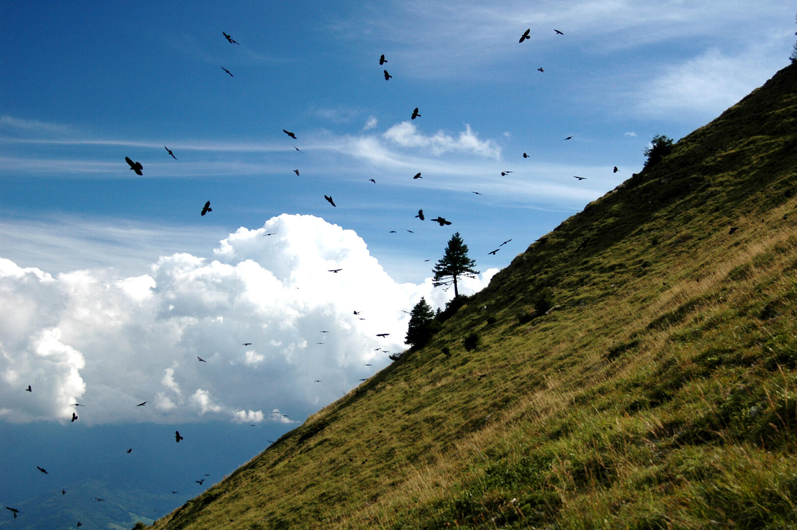 Col du Coq