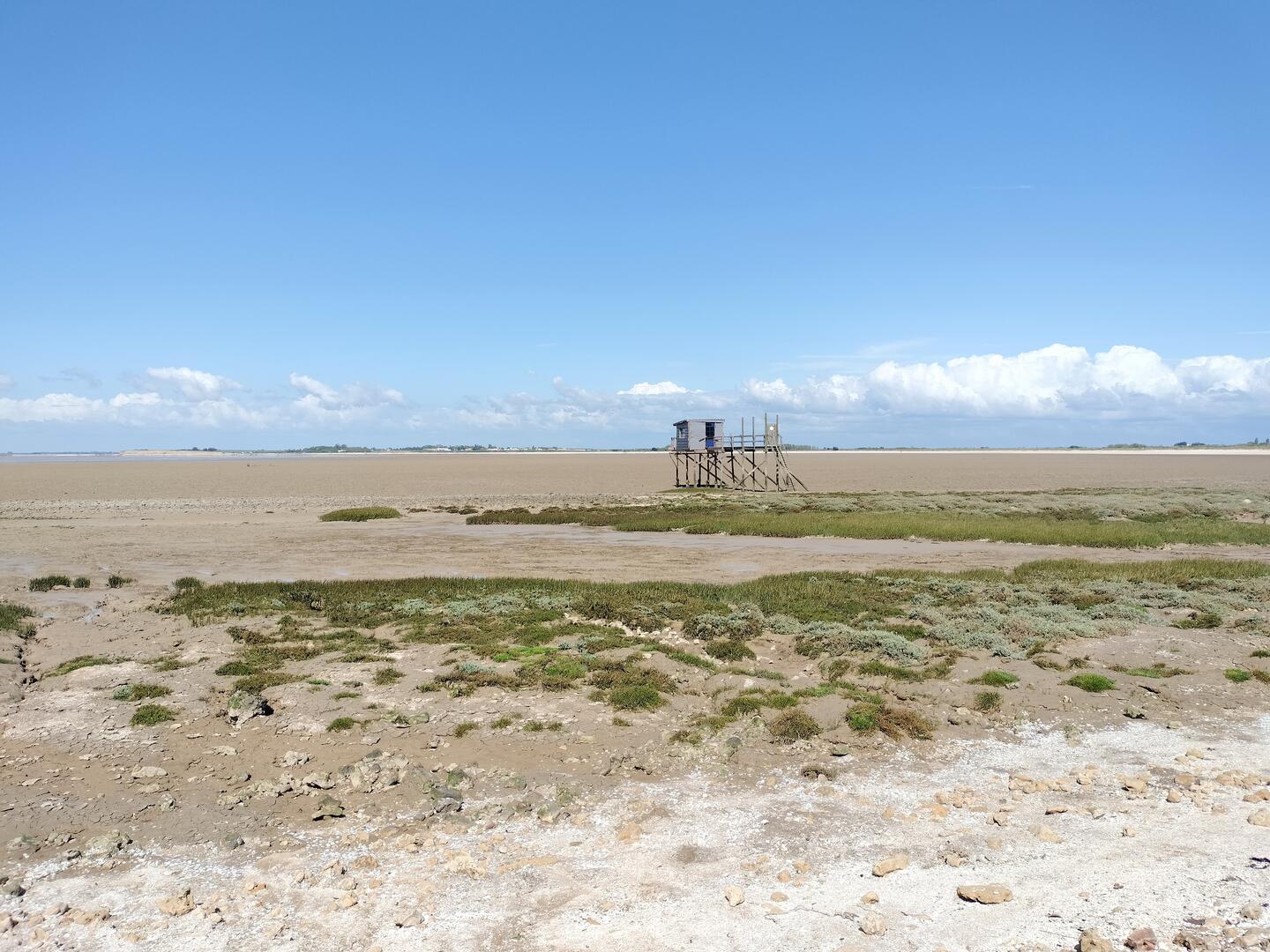 En chemin vers l'Anse de Fouras_Fouras-les-Bains