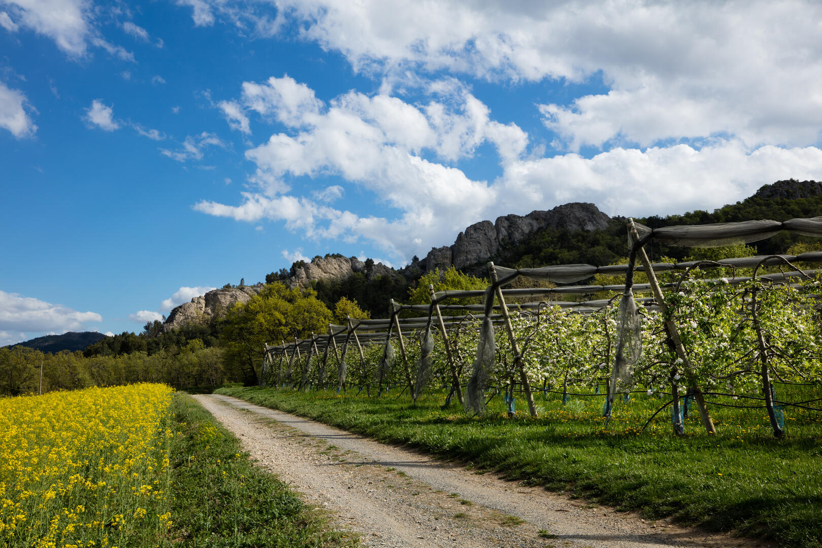 Le circuit des Bruyères Chateau-Arnoux